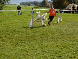 Les Concours