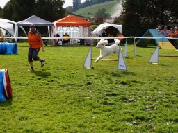 Les Concours
