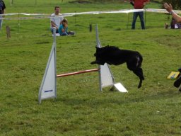 Les Concours