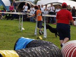Les Concours