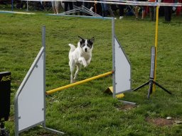 Les Concours