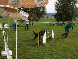 Les Concours