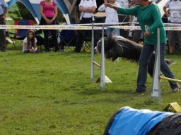 Les Concours