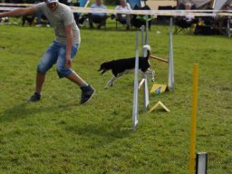 Les Concours