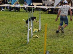 Les Concours