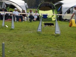 Les Concours