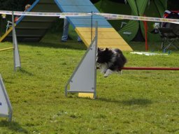 Les Concours
