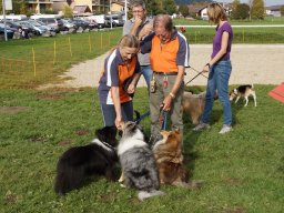 Les Concours