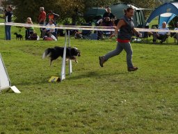 Les Concours