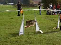 Les Concours