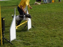 Les Concours