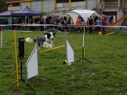 Les Concours