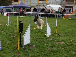 Les Concours